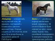Битю г — російська порода ваговозних коней; виведена у 18 столітті.Батюги бул...
