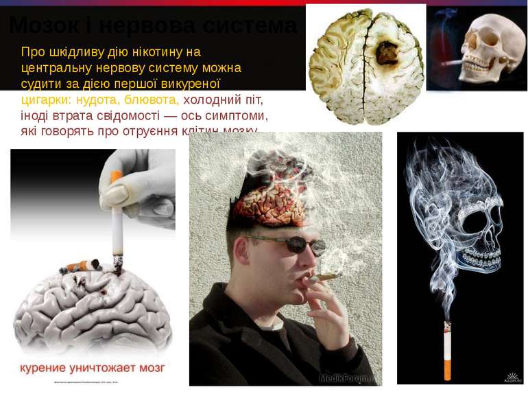 Мозок і нервова система Про шкідливу дію нікотину на центральну нервову систе...
