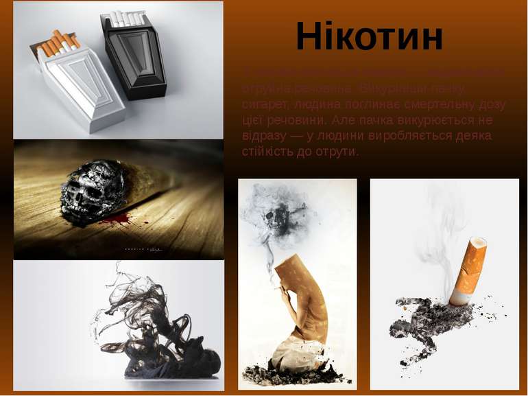У тютюні міститься нікотин — надзвичайно отруйна речовина. Викуривши пачку си...