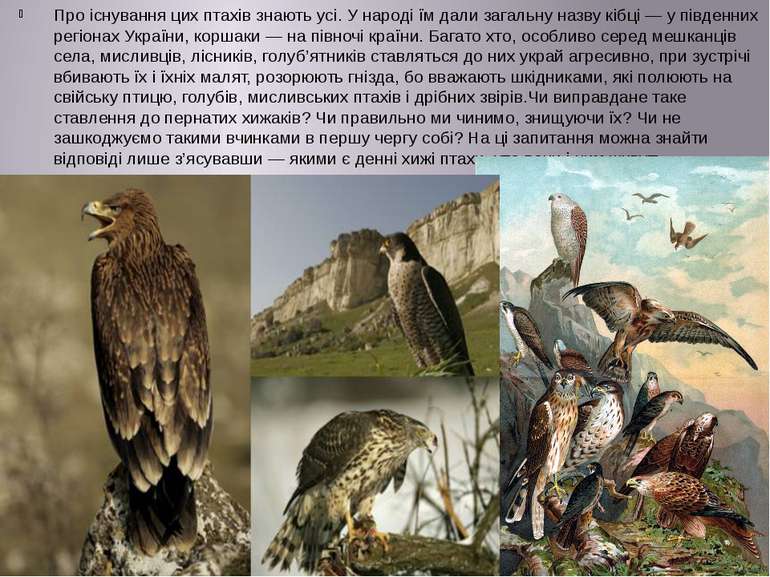 Про існування цих птахів знають усі. У народі їм дали загальну назву кібці — ...