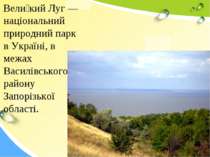 Вели кий Луг — національний природний парк в Україні, в межах Василівського р...