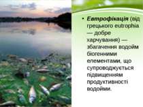 Евтрофікація (від грецького eutrophia — добре харчування) — збагачення водойм...