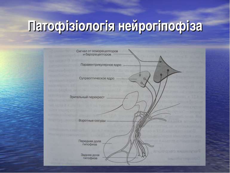 Патофізіологія нейрогіпофіза
