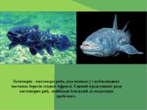 Латимерія - кистепера риба, яка мешкає у глубоководних частинах берегів східн...