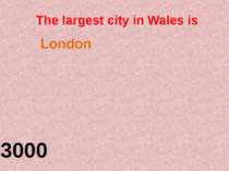 The largest city in Wales is 3000