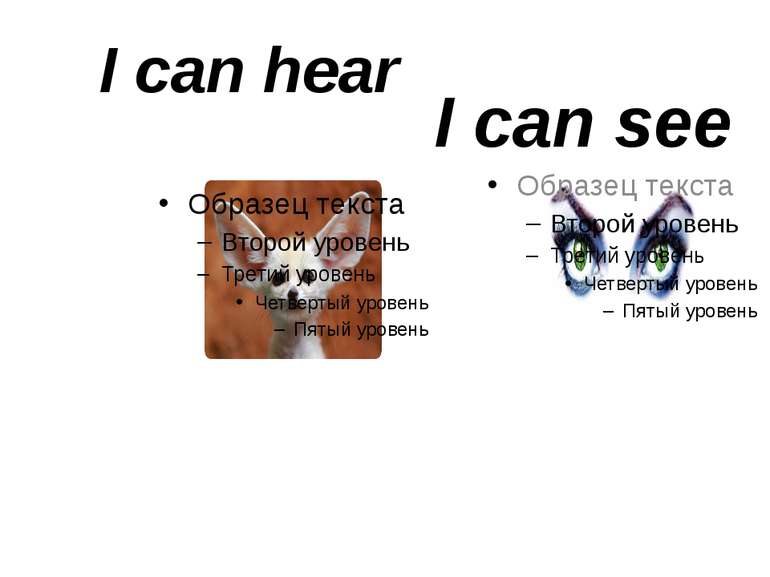 I can hear I can see