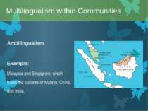 Ambilingualism Example: Malaysia and Singapore, which fuses the cultures of M...