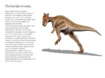 Пахіцефалозавр. Якщо тиранозавр був одним з найбільших в історії Землі хижакі...