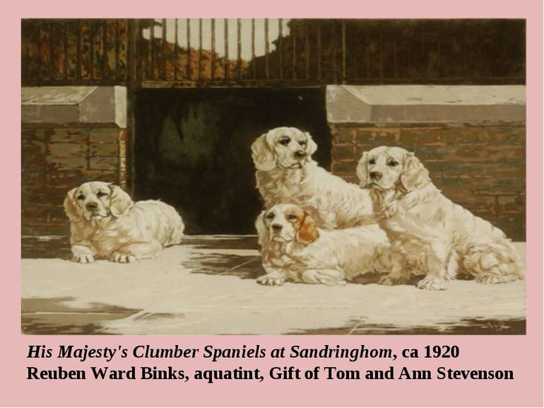 His Majesty's Clumber Spaniels at Sandringhom, ca 1920 Reuben Ward Binks, aqu...