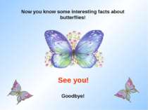 Now you know some interesting facts about butterflies! See you! Goodbye!