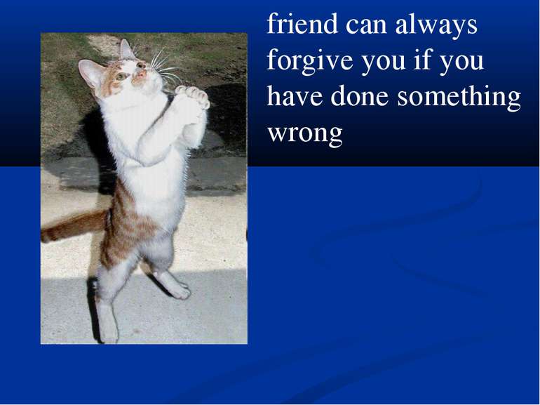 friend can always forgive you if you have done something wrong