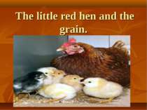 The little red hen and the grain