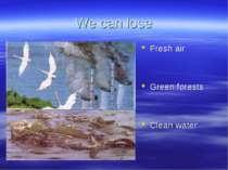 We can lose Fresh air Green forests Clean water