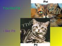 I like Pit You like Pat