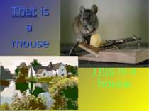 This is a house That is a mouse