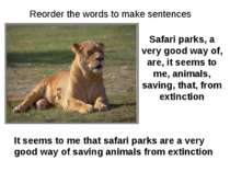 Safari parks, a very good way of, are, it seems to me, animals, saving, that,...