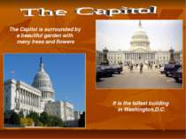 It is the tallest building in Washington,D.C. The Capitol is surrounded by a ...