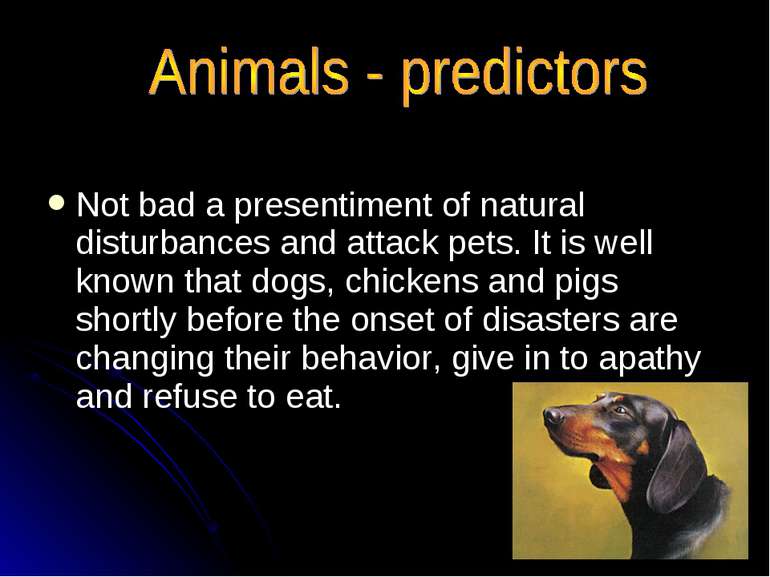 Not bad a presentiment of natural disturbances and attack pets. It is well kn...