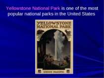 Yellowstone National Park is one of the most popular national parks in the Un...