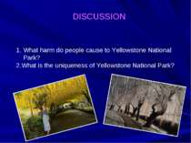 DISCUSSION What harm do people cause to Yellowstone National Park? 2.What is ...