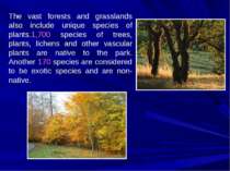 The vast forests and grasslands also include unique species of plants.1,700 s...