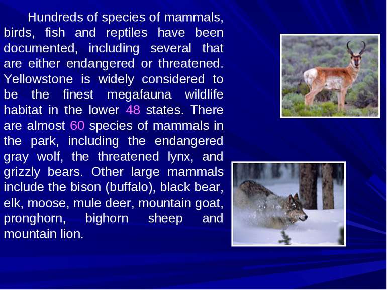 Hundreds of species of mammals, birds, fish and reptiles have been documented...