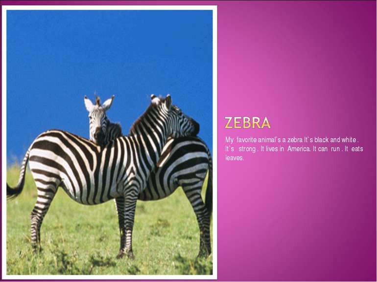My favorite animal`s a zebra It`s black and white . It`s strong . It lives in...