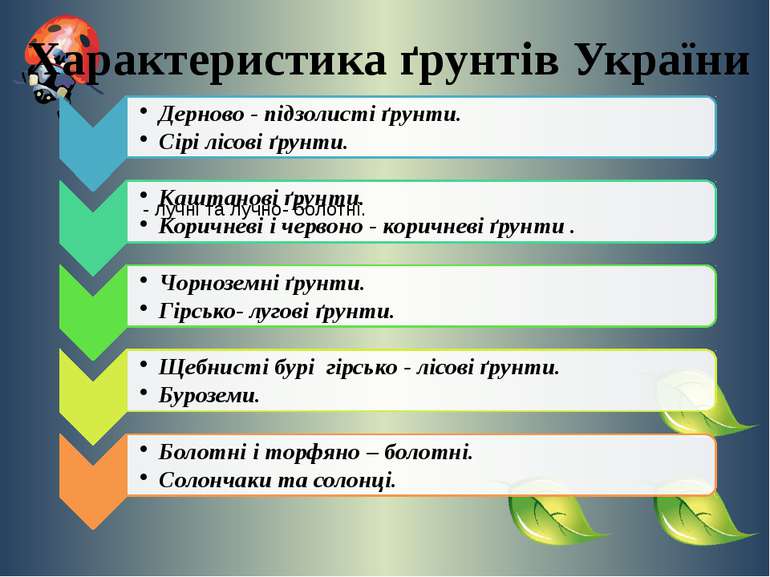 Характеристика ґрунтів України - лучні та лучно- болотні.