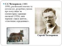 С.С.Четвериков (1880-1959), російський генетик та ентомолог, розробив учення ...