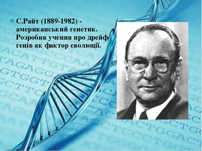 С.Райт (1889-1982) - американський генетик. Розробив учення про дрейф генів я...