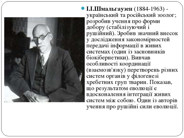 І.І.Шмальгаузен (1884-1963) - український та російський зоолог; розробив учен...
