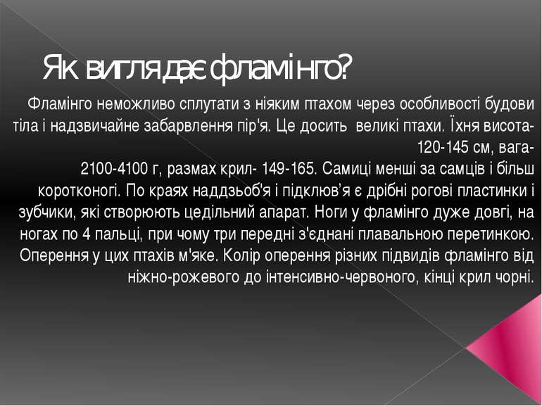 Як виглядає фламінго? Фламінго неможливо сплутати з ніяким птахом через особл...