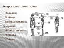 Антропометричні точки Пальцева Лобкова Верхньогомілкова внутрішня Нижньогоміл...