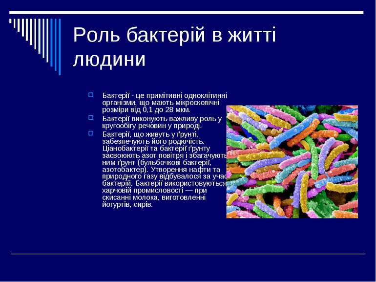 Роль бактерій в житті людини Бактерії - це примітивні одноклітинні організми,...