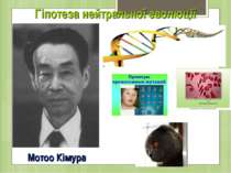 Гіпотеза нейтральної еволюції Мотоо Кімура