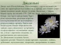 Дводольні Дводо льні (Dicotyledoneae, Dicotyledones) —група квіткових ро-слин...