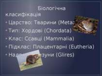 Біологічна класифікація Царство: Тварини (Metazoa) Тип: Хордові (Chordata) Кл...