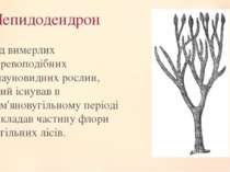 Лепидодендрон Рід вимерлих деревоподібних плауновидних рослин, який існував в...