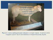 Доллі стала найвідомішою вівцею в історії науки. 9 квітня 2003 опудало Доллі ...
