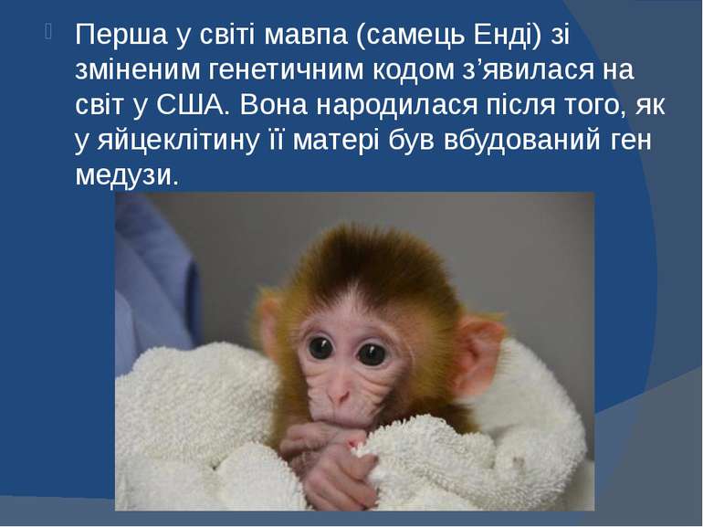Перша у світі мавпа (самець Енді) зі зміненим генетичним кодом з’явилася на с...