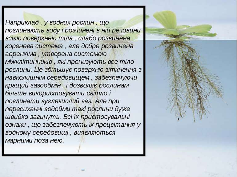 Наприклад , у водних рослин , що поглинають воду і розчинені в ній речовини в...