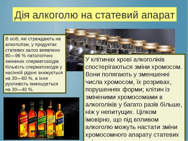 Дія алкоголю на статевий апарат В осіб, які страждають на алкоголізм, у проду...