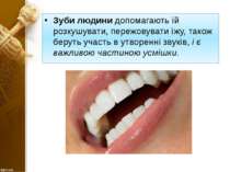 Зуби людини допомагають їй розкушувати, пережовувати їжу, також беруть участь...