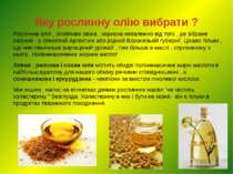 Яку рослинну олію вибрати ? Рослинна олія , особливо свіжа , корисна незалежн...