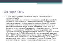 Що люди п'ють У світі мікроскопічних організмів, мабуть, самі всюдисущі - дрі...