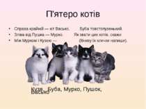 П'ятеро котів Справа крайній — кіт Васько, Буба товстопузенький. Зліва від Пу...