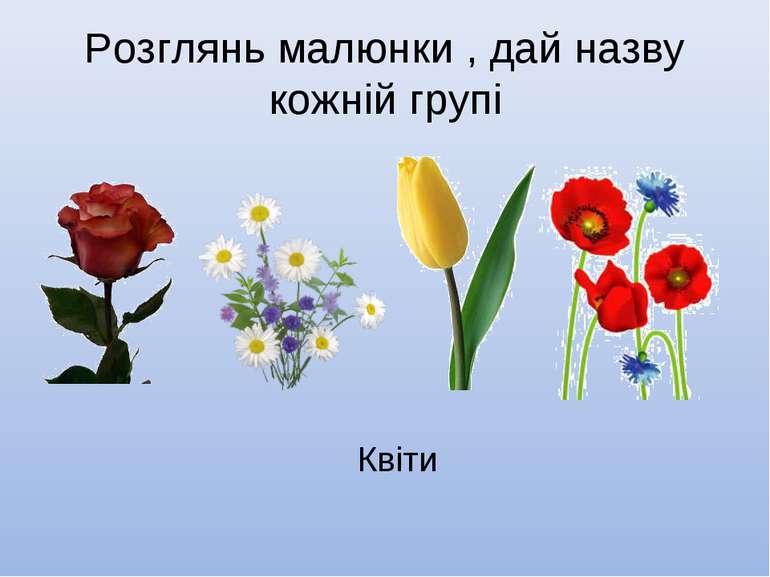 Розглянь малюнки , дай назву кожній групі Квіти