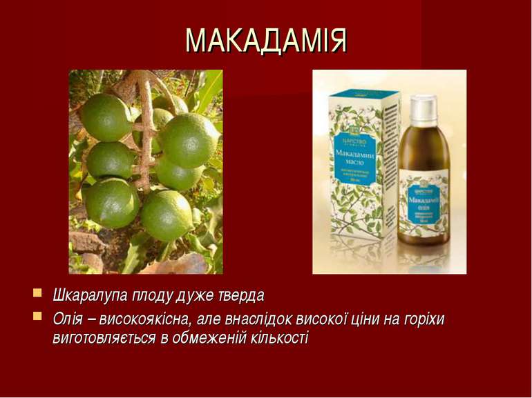 МАКАДАМІЯ Шкаралупа плоду дуже тверда Олія – високоякісна, але внаслідок висо...