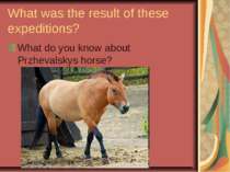 What was the result of these expeditions? What do you know about Przhevalskys...