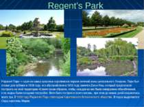Regent’s Park Риджент Парк — один из самых красивых королевских парков зелено...